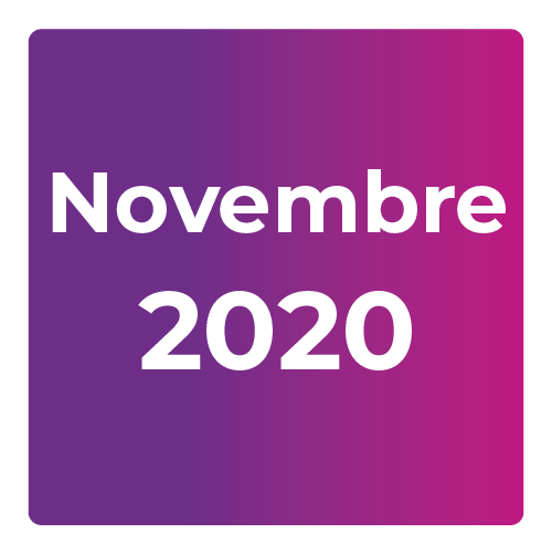Newsletter isirh novembre 2020